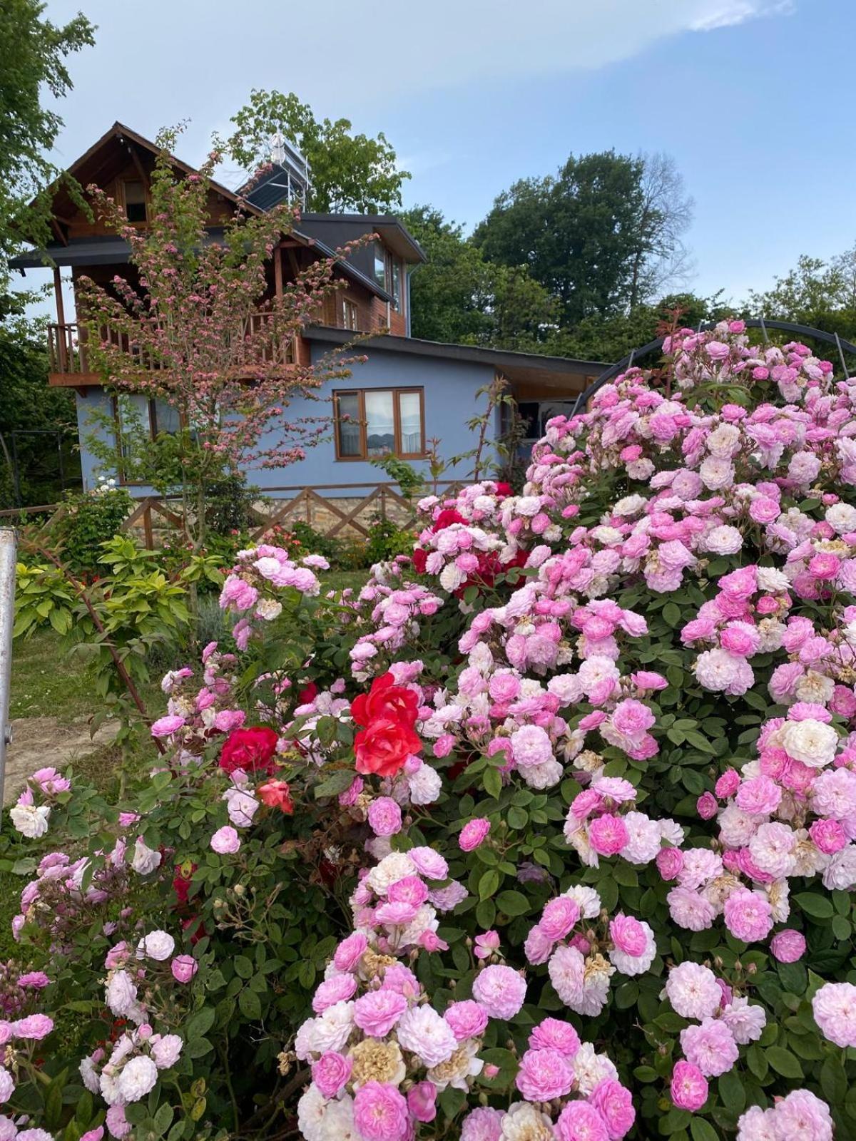 Isabella Kirsal Yasam Evi Villa *